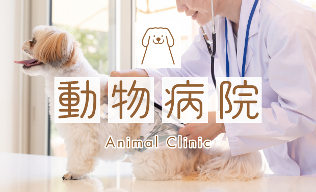 動物病院